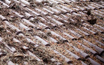 Moneystone roof cleaning companies