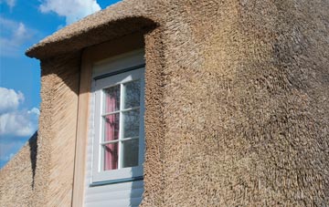 Moneystone thatch roof disadvantages
