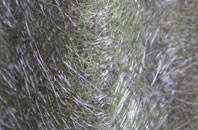 Moneystone fibreglass roof work